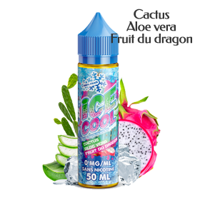 Cactus Aloe Vera Dragon